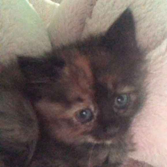 Meet your Posher, Murie - Picture 1 of 1